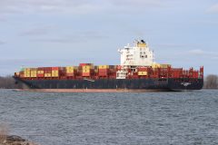 Thumbnail Image for MSC Cornelia