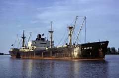 Thumbnail Image for Forward