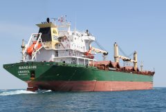 Thumbnail Image for Mandarin