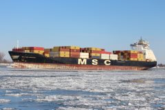 Thumbnail Image for MSC Don Giovanni