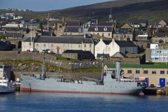 Thumbnail Image for Hestmanden