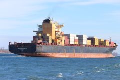 Thumbnail Image for MSC Manzanillo