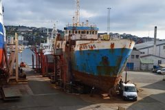 Thumbnail Image for CHR Roy