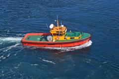 Thumbnail Image for Pressarin