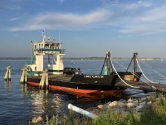 Thumbnail Image for Lionel Plante Sr