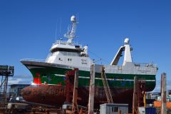 Thumbnail Image for Johanna Gisladottir