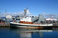 Thumbnail Image for Magni