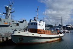 Thumbnail Image for Magni