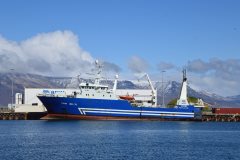 Thumbnail Image for Vigri