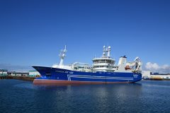 Thumbnail Image for Vikingur