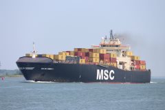 Thumbnail Image for MSC Mia Summer II