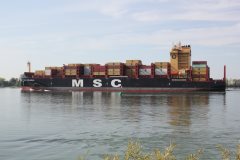 Thumbnail Image for MSC Nahara