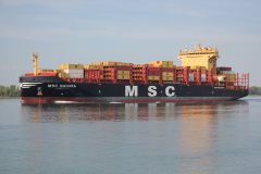 Thumbnail Image for MSC Nahara