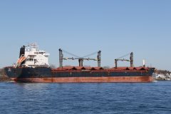 Thumbnail Image for Puna