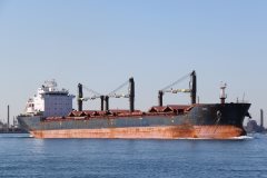 Thumbnail Image for Puna