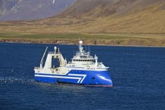 Thumbnail Image for Videy