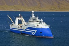 Thumbnail Image for Videy