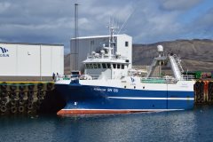 Thumbnail Image for Runolfur