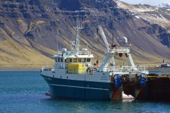 Thumbnail Image for Sigurborg