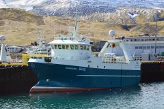 Thumbnail Image for Sigurborg