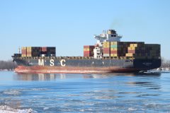 Thumbnail Image for MSC Nerissa