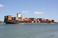 Thumbnail Image for MSC Roberta V