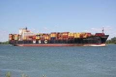 Thumbnail Image for MSC Roberta V