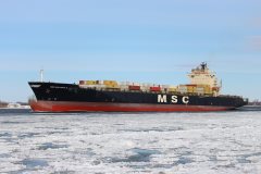 Thumbnail Image for MSC Sao Paulo V