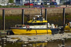 Thumbnail Image for Captain A. G. Soppitt