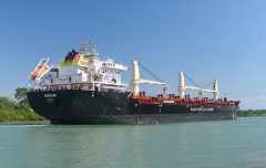 Thumbnail Image for Murgash