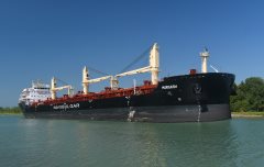 Thumbnail Image for Murgash