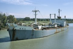 Thumbnail Image for Rea