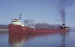 Thumbnail Image for Sewell Avery