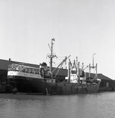 Thumbnail Image for Transerie