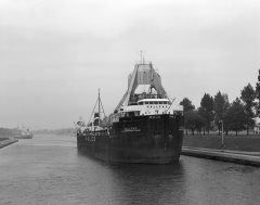 Thumbnail Image for Hallfax