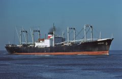 Thumbnail Image for Andino