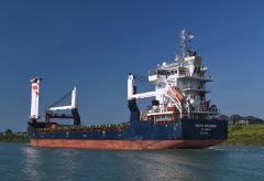 Thumbnail Image for Vectis Progress