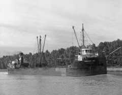 Thumbnail Image for Shiercliffe Hall