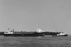 Thumbnail Image for Inland Transport