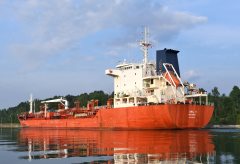 Thumbnail Image for Owl 5