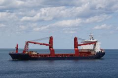 Thumbnail Image for Stevie