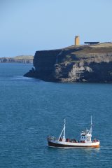 Thumbnail Image for Moby Dick