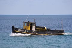 Thumbnail Image for Sandra E