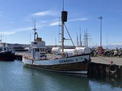 Thumbnail Image for Knorrinn