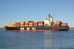 Thumbnail Image for MSC Sena