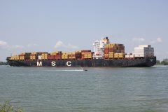 Thumbnail Image for MSC Shristi