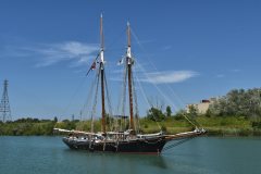 Thumbnail Image for Ernestina Morrissey