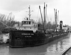 Thumbnail Image for Sternecliffe Hall