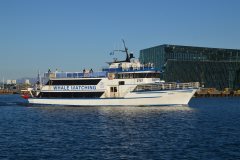 Thumbnail Image for Andrea