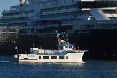 Thumbnail Image for Rosin